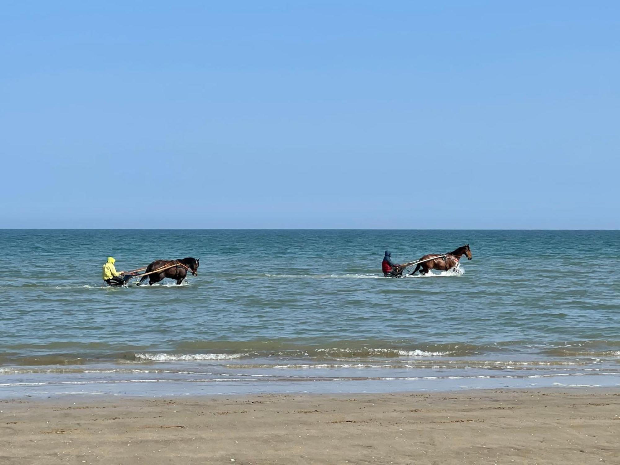 Pressoir De La Mare Superhote 12 Minutes De Cabourg Goustranville Εξωτερικό φωτογραφία